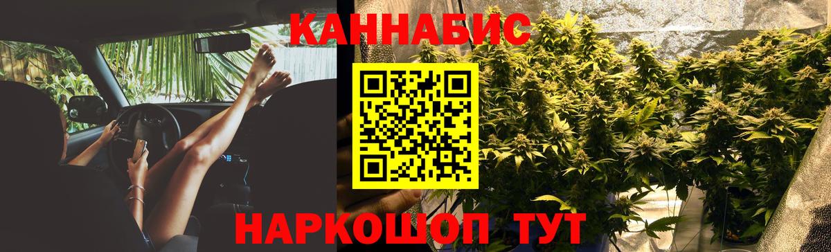 Бошки марихуана White Widow Ессентуки